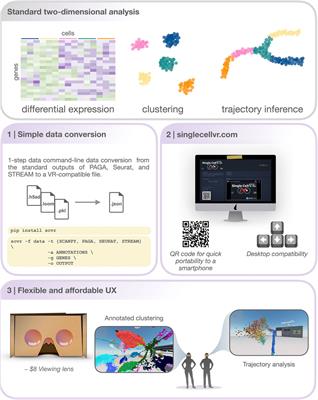 singlecellVR: Interactive Visualization of Single-Cell Data in Virtual Reality